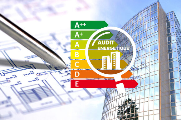 audit